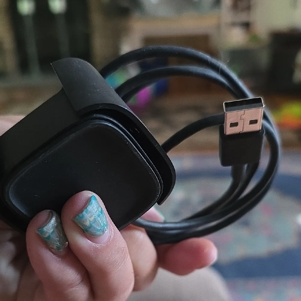 Fitbit Black Wearables Charger for Optimal Performance